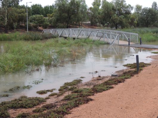 Bridge in Wetlands